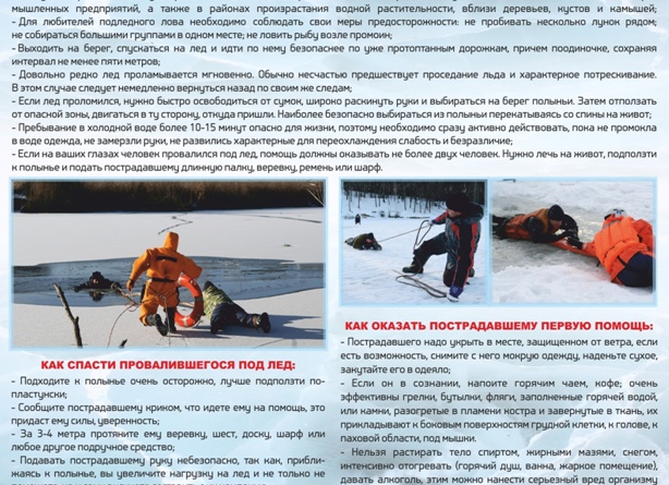 Чем опасна «Единая медицинская служба» для россиян? Новая схема мошенников с доступом к аккаунтам на 