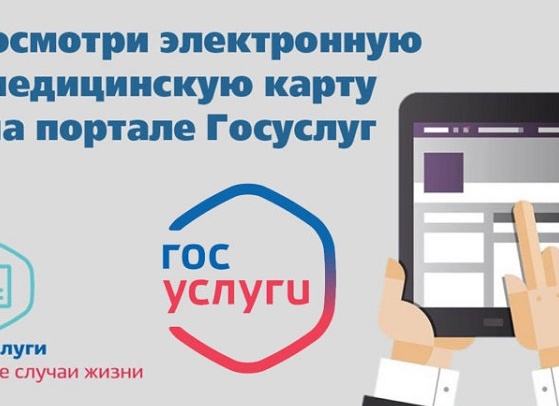 Электронная медицинская карта: как через Госуслуги узнавать результаты анализов и получать выписку