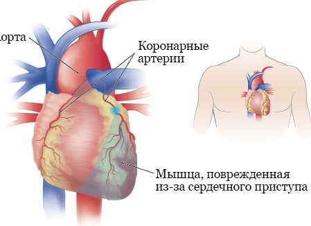 Медицинский сайт: каким он должен быть, чтобы привлекать пациентов