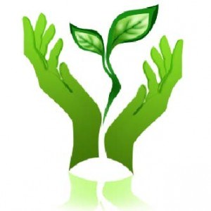 «Зеленый бум» и снижение веса
