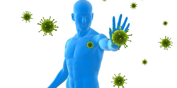 защита имунной системы
