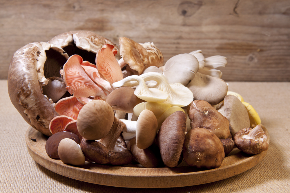 Сколько калорий в жаренных грибах
