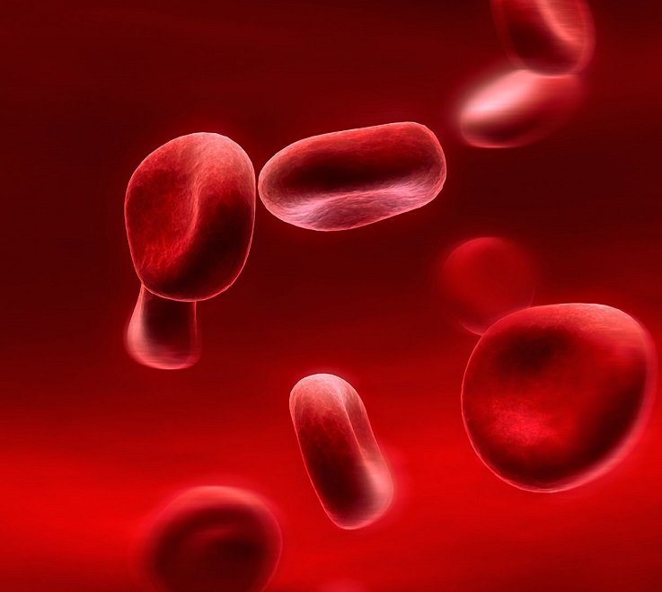 Исследование антител igg в крови