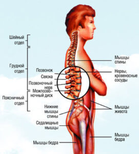 Причины боли в спине