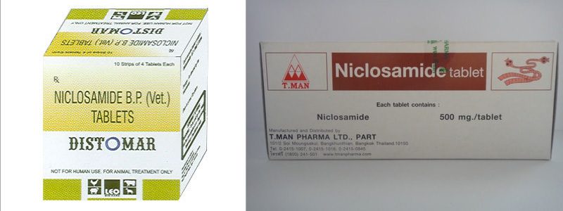 формы упаковки Никлозамида