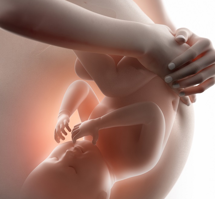 Передача токсоплазмоза от матери к плоду в утробе