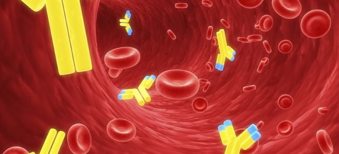 Анализ крови для опеределения антител к лямблиям и норма показателей
