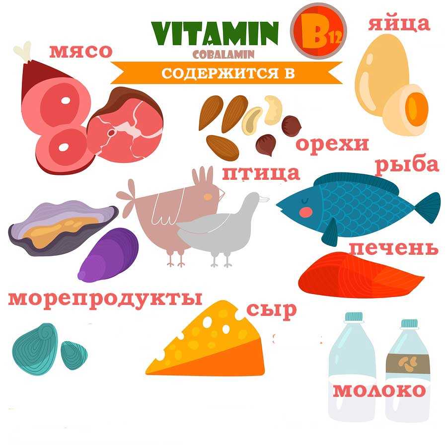 Продукты с витамином В12
